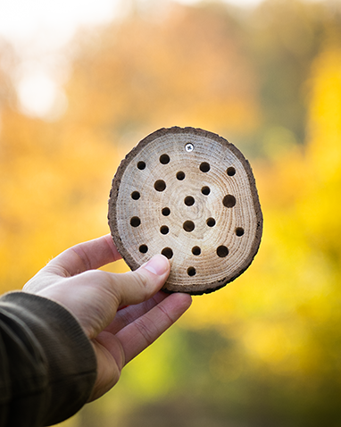 Bijenhotel van Bijdemaker