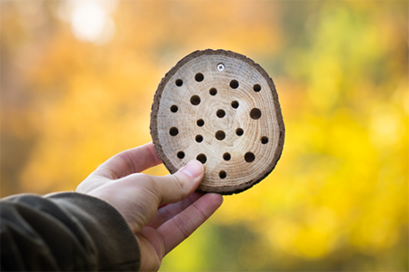 Bijenhotel in hand van Bijdemaker