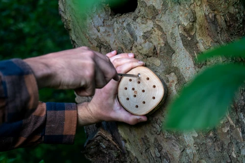 Bijenhotel ophangen aan een boom Bijdemaker voor nestgelegenheid voor bijen