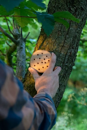 Nut van een bijenhotel Bijdemaker