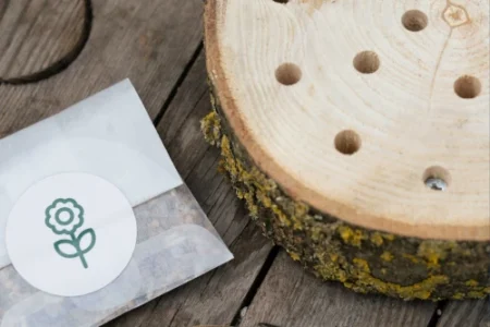 Bijenhotel en bloedzaad van bijdemaker zijn duurzame cadeaus