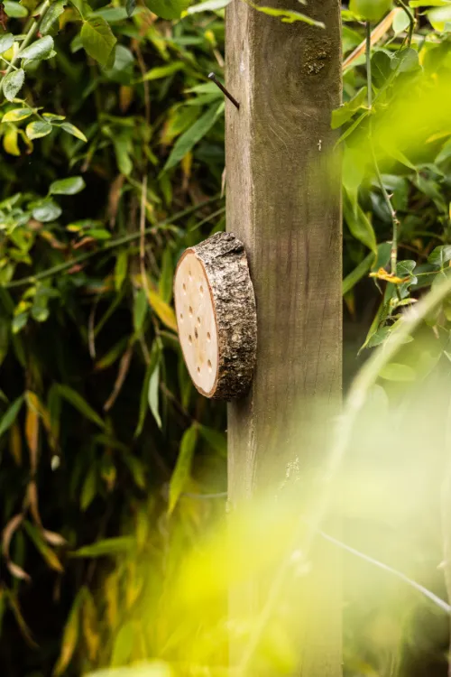 Bijenhotel rond van Bijdemaker